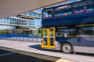 Bus in Auckland driving past.