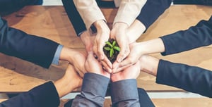 Sustainability